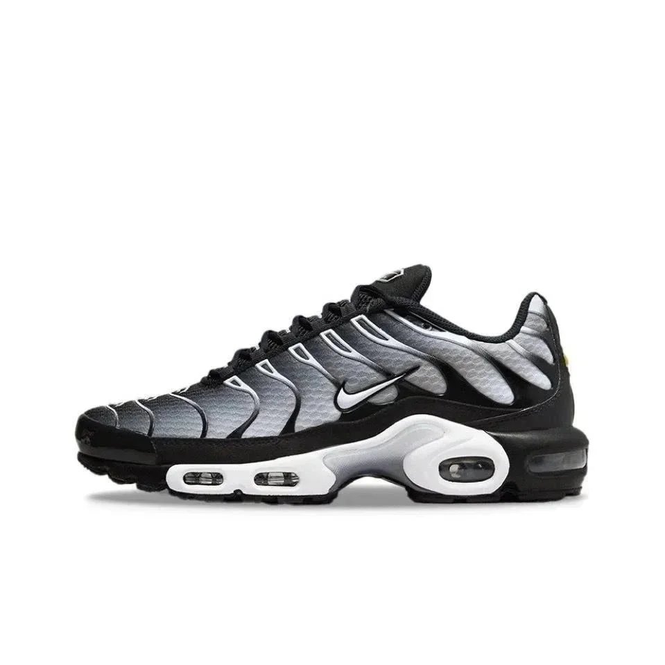 31 31