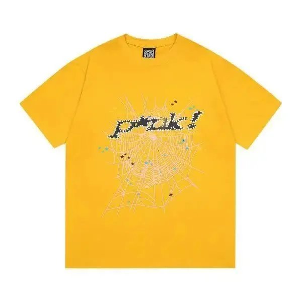 24 24