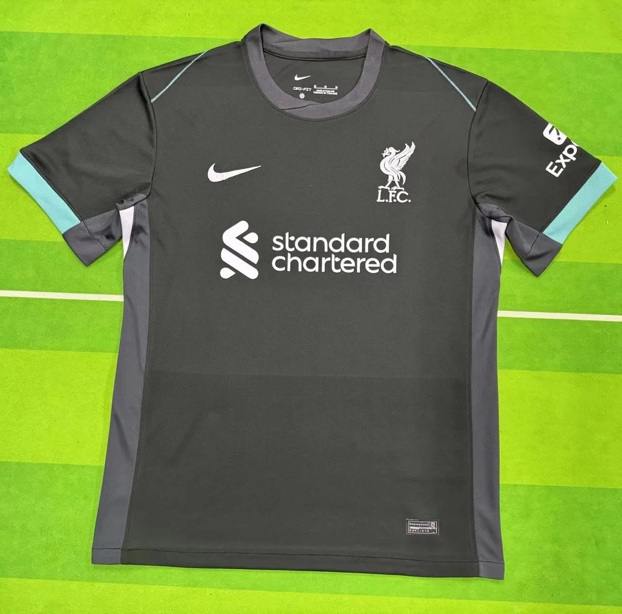 31 31