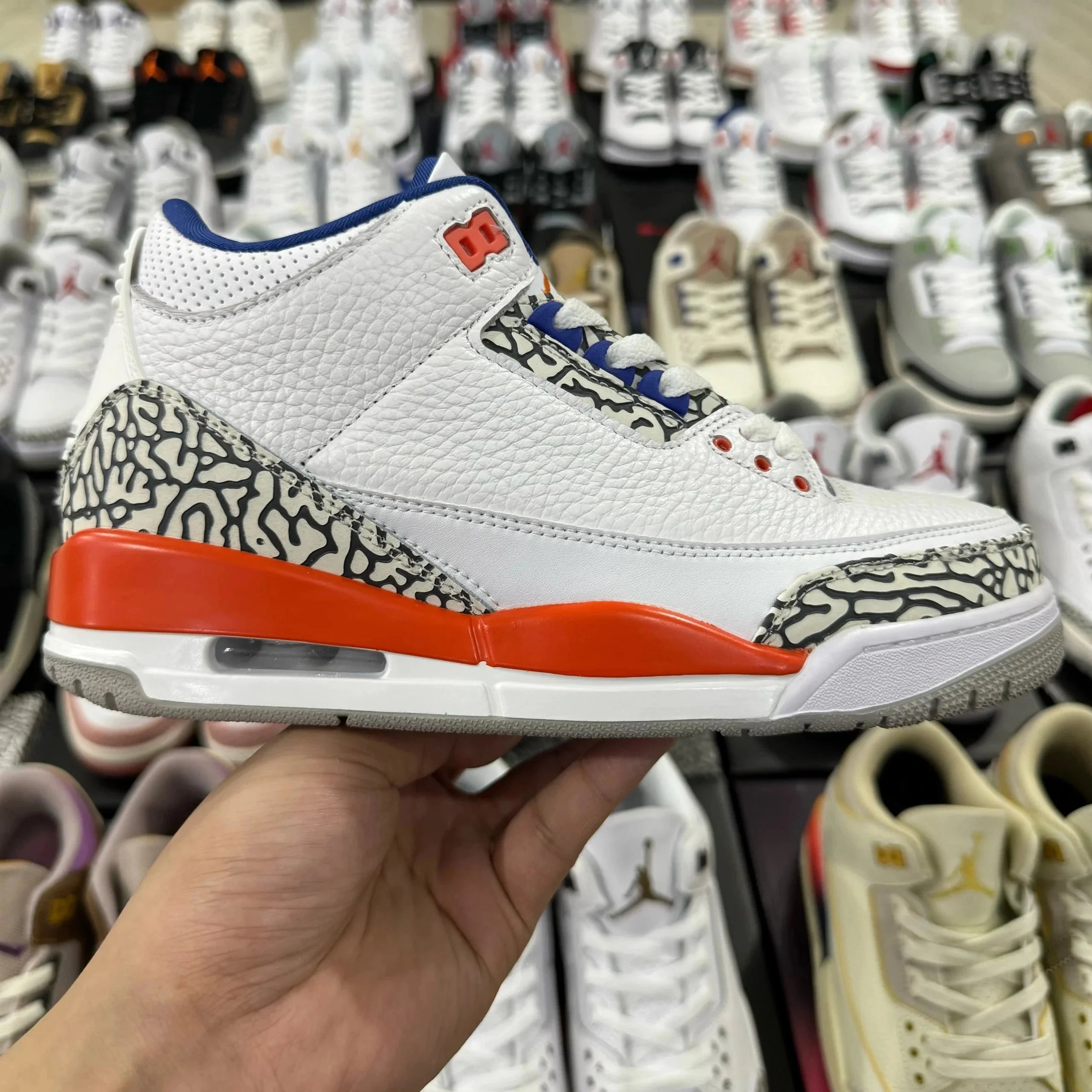 尼克斯 尼克斯