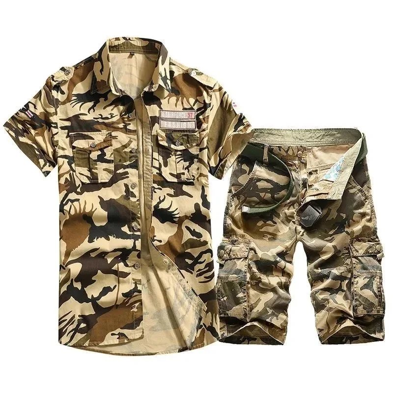 26 26