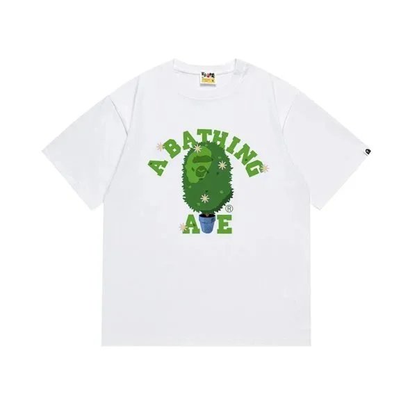 29 29