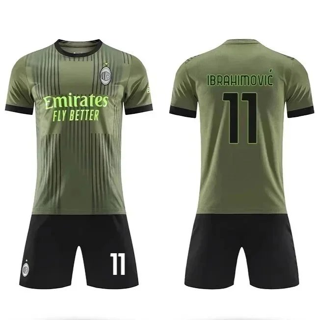 06伊布