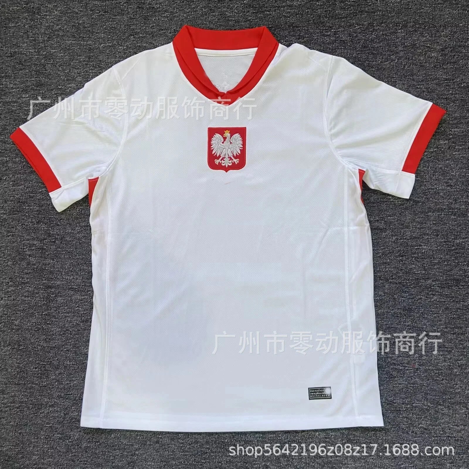 24-25波兰主场 24-25波兰主场