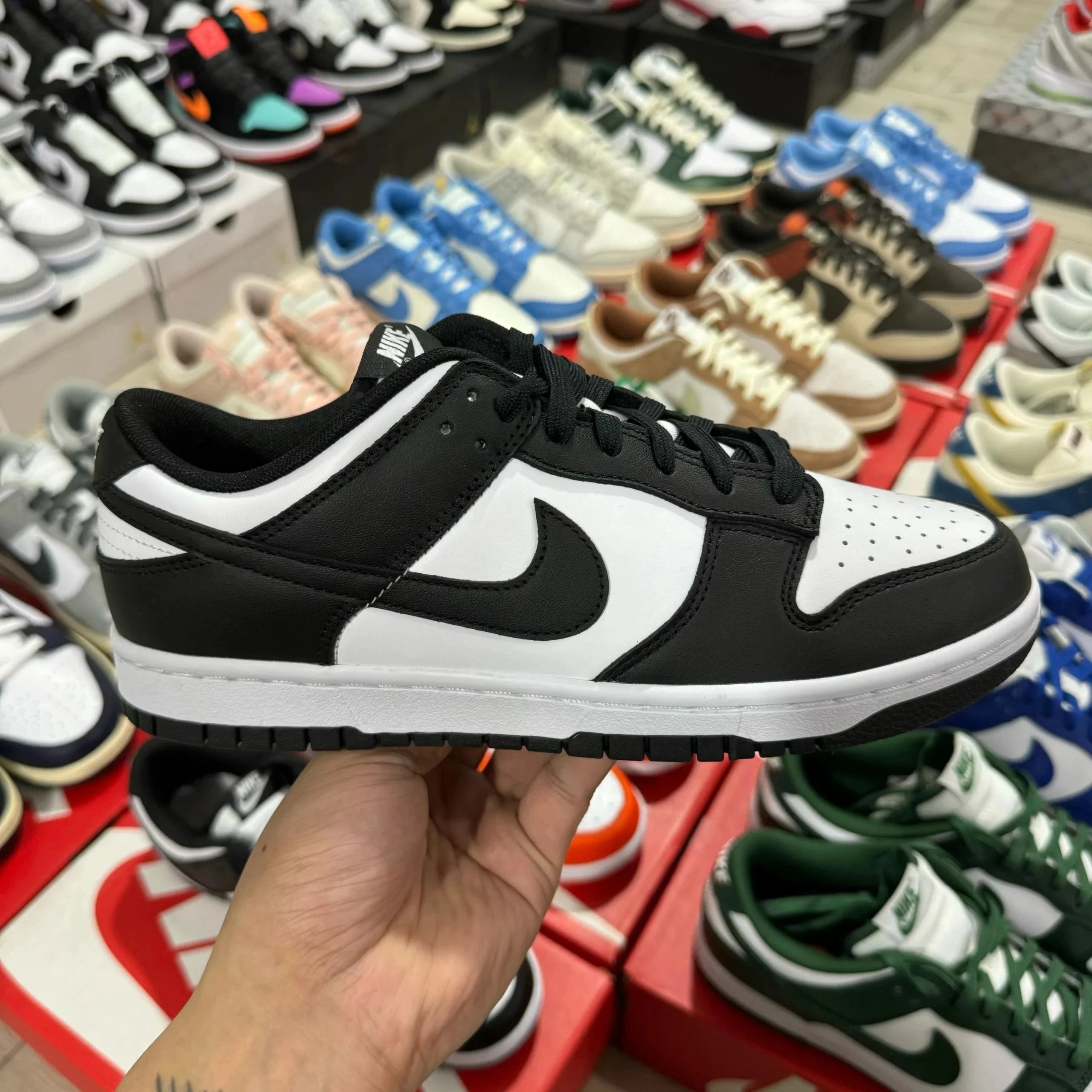 黑白熊猫 黑白熊猫