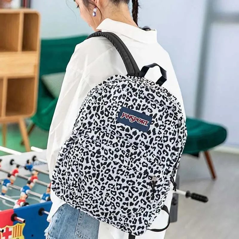 26 26