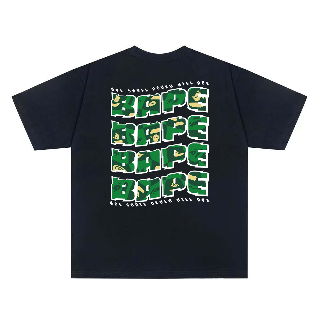 bap-169-02 bap-169-02